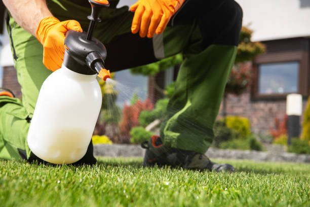 Best Commercial Pest Control Services  in Craigsville, WV